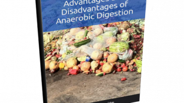 3D cover for Advantages & Disadvantages of Anaerobic Digestion