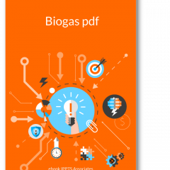 Flat image of the biogas pdf cover.
