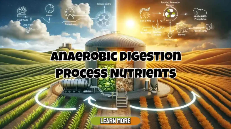 Image with the text: "Anaerobic digestion process nutrients." Featured image (AI created).