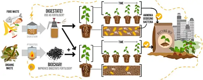 Infographic image showing the beneficial uses of digestate.