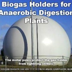 Biogas gas holder