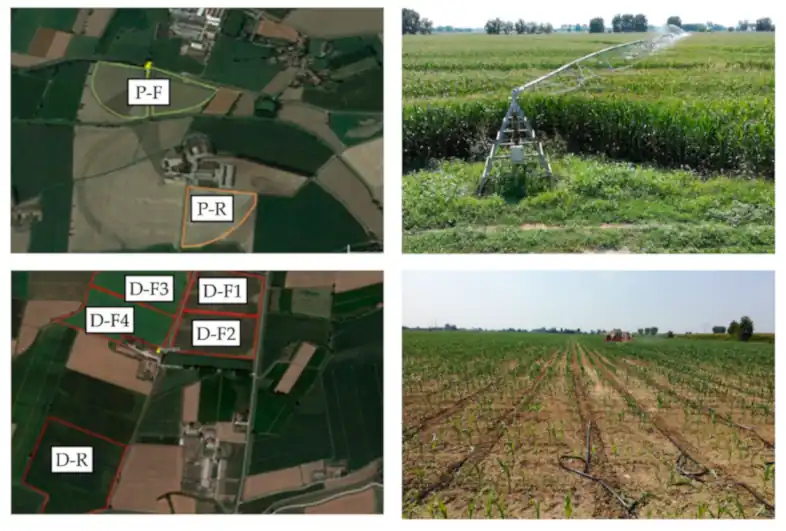 The effect on crop growth when fields are irrigated with digestate fertiliser.