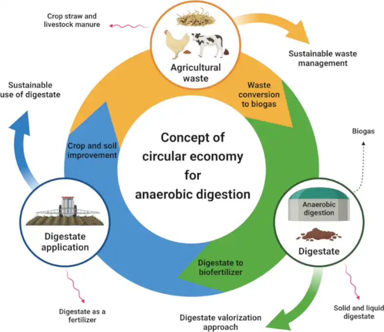 Concept of the circular economy for anaerobic digestion