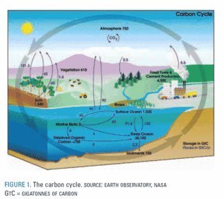 Carbon cycle NASA for Anaerobic digestion article
