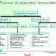 TUHH Anaerobic MSW Process