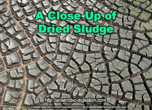 A close up of dried wastewater anaerobic digestion sludge