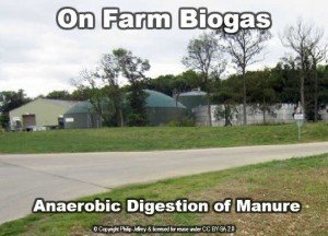 on farm biogas from manure