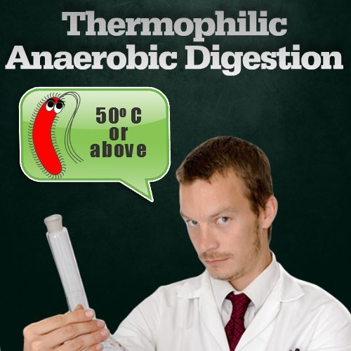Thermophilic graphic for anaerobic digestion page.
