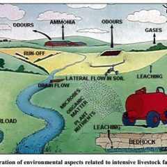 intensive farming environmental emissions manure spreading