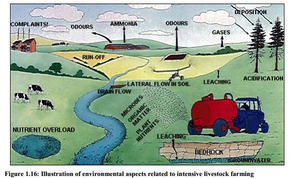 Diagram shows the different ways that agriculture impacts on the environment. Learning how to reduce them and to improve soil health is important.