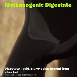pouring methanogenic digestate