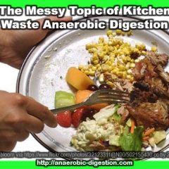 Anerobic digestion of Kitchen Waste Scraping the plate