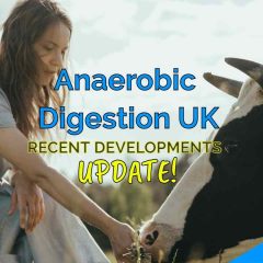 Image text: "Anaerobic Digestion UK Recent Developments".