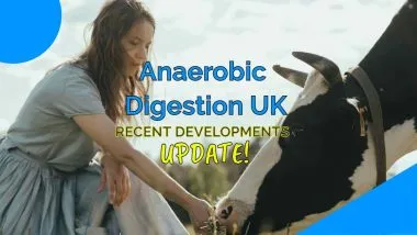 Image text: "Anaerobic Digestion UK Recent Developments".