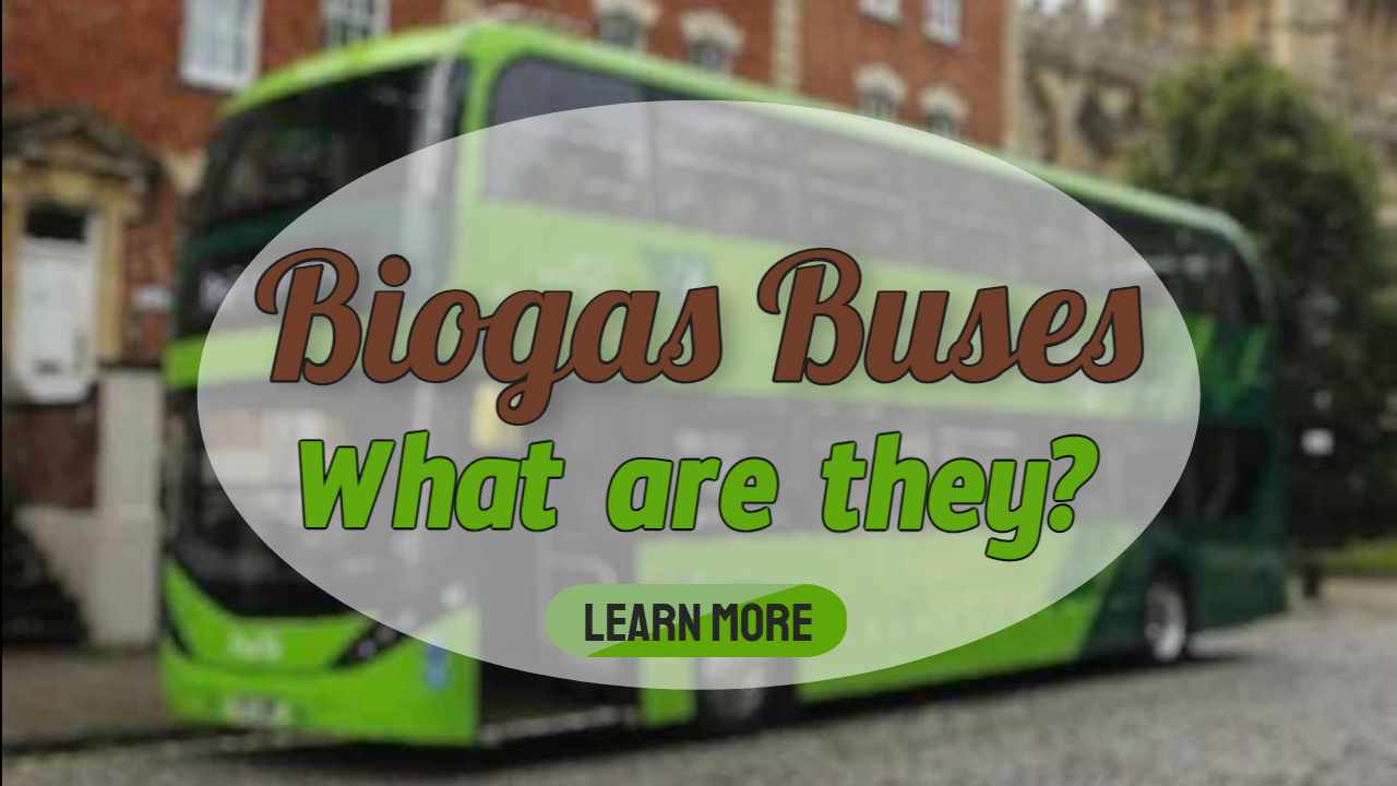 Image text: "Biogas Buses - What are they?."