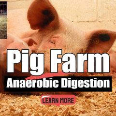 Image text: "Pig Farm Anaerobic Digestion".