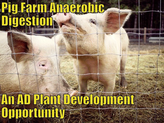 Image shows the features of Pig Farm Anaerobic Digestion.