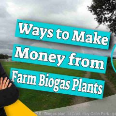 Image text: "Ways to Make Money from Farm Biogas Plants".
