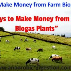 Sourves of money from biogas plants