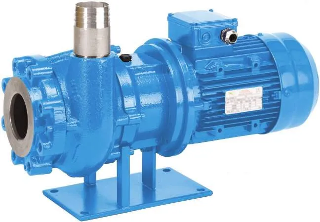 Image of a VerderHUS Pump often used as a biogas plant pump.