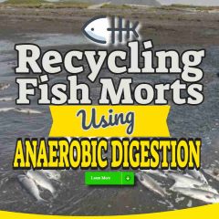 Image text: "recycling fish morts using anaerobic digestion".