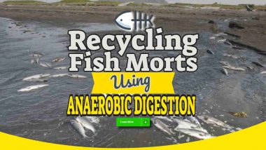 Image text: "recycling fish morts using anaerobic digestion".