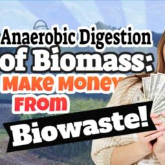 Featured article thumbnail with text: "Anaerobic Digestion of Biomass - Make Money from your Biowaste!