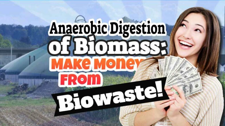 Featured article thumbnail with text: "Anaerobic Digestion of Biomass - Make Money from your Biowaste!