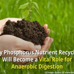 Phosphorus Nutrient Recycling Role for Anaerobic Digestion