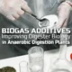 Image with the text: "Biogas Additives improving digester biology"