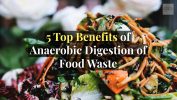 Food Waste Anaerobic Digestion – The Main Benefits Benefits of Anaerobic Digestion of Food Waste