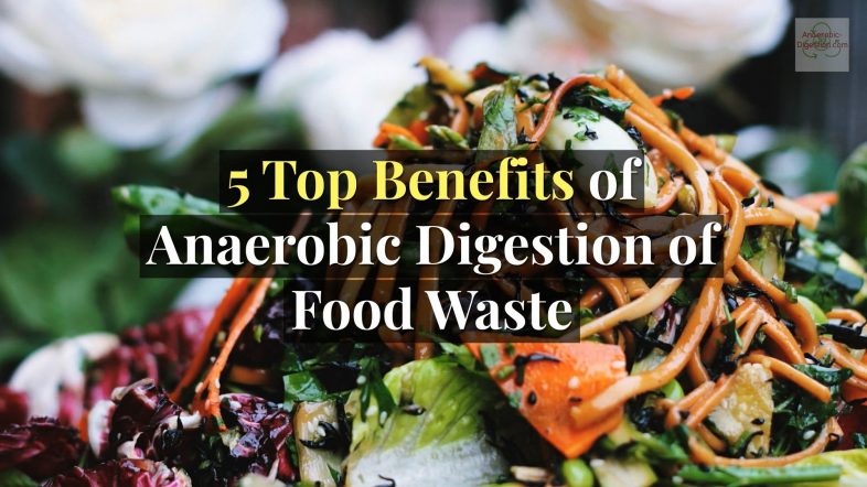 Benefits of Anaerobic Digestion of Food Waste