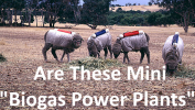 What is a Biogas Power Plant? Amusing image of a potential 4 legged biogas power plants.