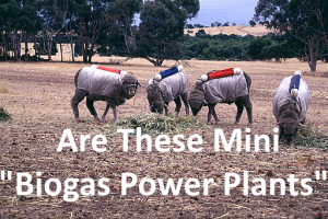 Amusing image of a potential 4 legged biogas power plants.