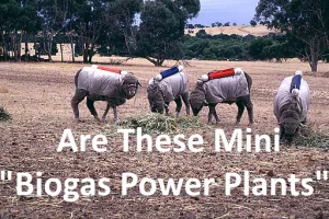 Amusing image of a potential 4 legged biogas power plants.