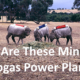 Amusing image of a potential 4 legged biogas power plants.