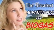 The Advantages of Biogas Advantages of biogas article feature image
