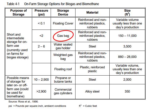 Image is an on-farm biogas storage option table.