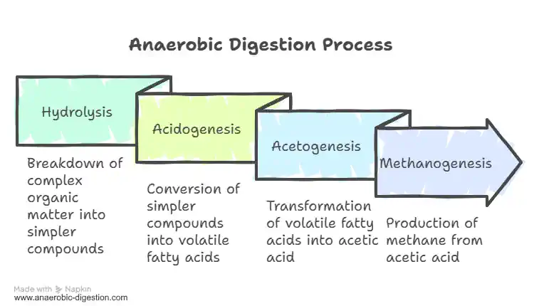 The Four Key Biochemical Steps of Anaerobic Digestion