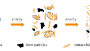How Ultrasonic Disintegration of Sewage Sludge Improves Wastewater Treatment Plant Biogas Outputs Ultrasonic disintegration