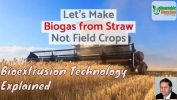 Let’s Make Biogas from Straw Not Food Crops – Using Bioextrusion Biogas from crop residues, not the grain/ food crop.