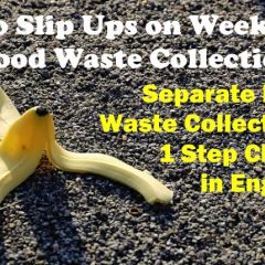Separate food waste collection article - featured image.