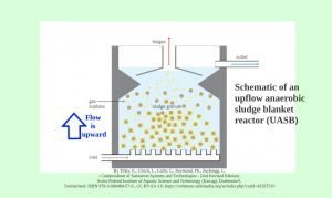 Image shows a diagram of an induced blanket (UASB) digester.