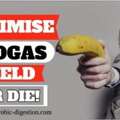 Image is a funny meme which says "Optimise Biogas Yield or Die".