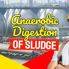 Image text: "Anaerobic Digestion of Sludge".