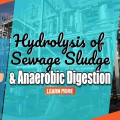 Image text: "Hydrolysis of Sewage Sludge and Anaerobic Digestion".