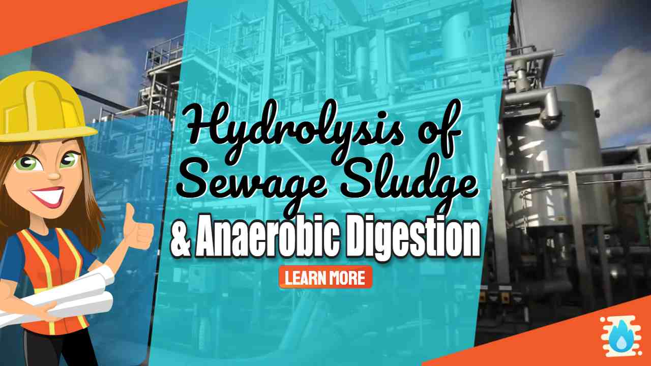 Image text: "Hydrolysis of Sewage Sludge and Anaerobic Digestion".