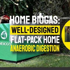 Image text: "HomeBiogas Home Biogas Plants Update".