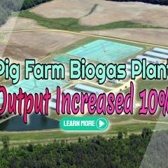 Image text: "Pig Farm Biogas Plant Output Increased 10%".