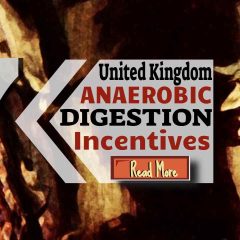 Image text: "7 UK Anaerobic Digestion Incentives".